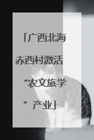 广西北海赤西村激活“农文旅学”产业