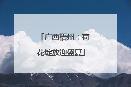 广西梧州：荷花绽放迎盛夏