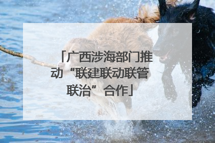 广西涉海部门推动“联建联动联管联治”合作