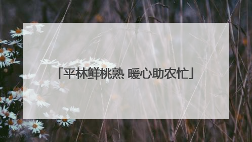 平林鲜桃熟 暖心助农忙