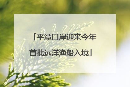 平潭口岸迎来今年首批远洋渔船入境