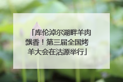库伦淖尔湖畔羊肉飘香！第三届全国烤羊大会在沽源举行