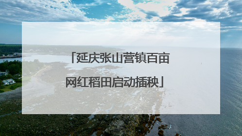 延庆张山营镇百亩网红稻田启动插秧