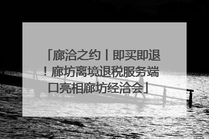 廊洽之约丨即买即退！廊坊离境退税服务端口亮相廊坊经洽会