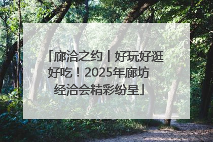 廊洽之约丨好玩好逛好吃！2025年廊坊经洽会精彩纷呈