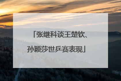 张继科谈王楚钦、孙颖莎世乒赛表现