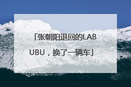 张朝阳退回的LABUBU，换了一辆车
