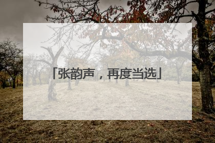张韵声，再度当选