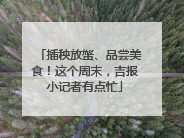 插秧放蟹、品尝美食！这个周末，吉报小记者有点忙