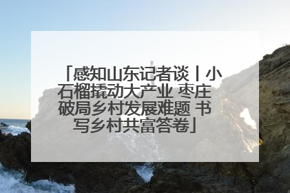 感知山东记者谈丨小石榴撬动大产业 枣庄破局乡村发展难题 书写乡村共富答卷