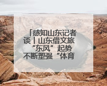 感知山东记者谈丨山东借文旅“东风”起势 不断塑强“体育+”优势