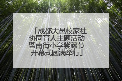 成都大邑校家社协同育人主题活动暨南街小学紫藤节开幕式圆满举行