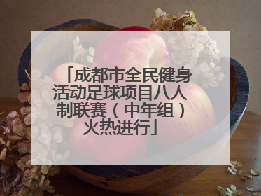 成都市全民健身活动足球项目八人制联赛（中年组）火热进行