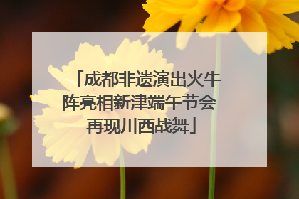 成都非遗演出火牛阵亮相新津端午节会 再现川西战舞