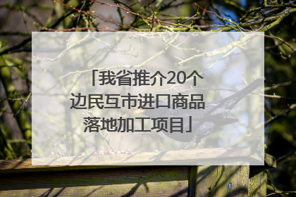 我省推介20个边民互市进口商品落地加工项目