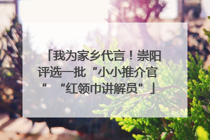 我为家乡代言！崇阳评选一批“小小推介官”“红领巾讲解员”