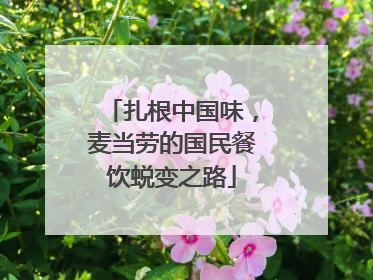 扎根中国味，麦当劳的国民餐饮蜕变之路