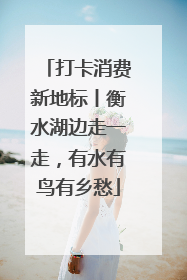 打卡消费新地标丨衡水湖边走一走，有水有鸟有乡愁
