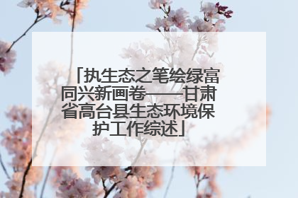 执生态之笔绘绿富同兴新画卷——甘肃省高台县生态环境保护工作综述