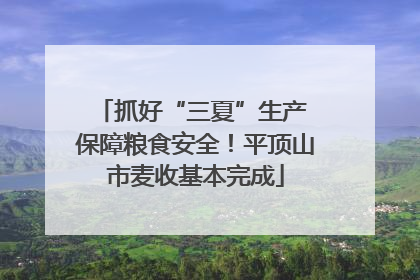 抓好“三夏”生产 保障粮食安全！平顶山市麦收基本完成