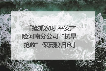 抢抓农时 平安产险河南分公司“抗旱抢收”保夏粮归仓