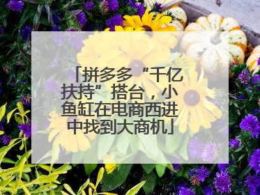 拼多多“千亿扶持”搭台，小鱼缸在电商西进中找到大商机