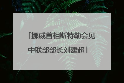 挪威首相斯特勒会见中联部部长刘建超