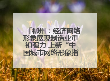 柳州：经济网络形象展现制造业重镇强力 上新“中国城市网络形象指数”报告