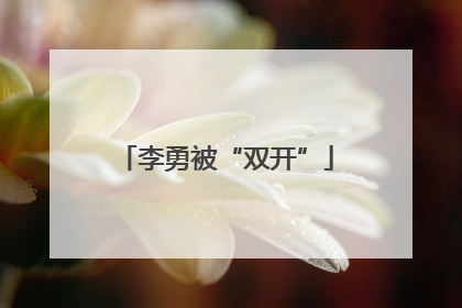 李勇被“双开”