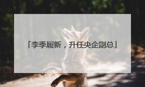 李季履新，升任央企副总