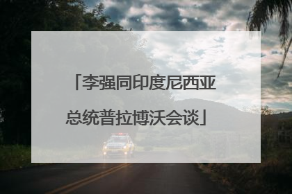 李强同印度尼西亚总统普拉博沃会谈