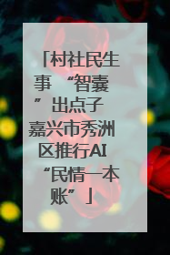 村社民生事 “智囊”出点子 嘉兴市秀洲区推行AI“民情一本账”