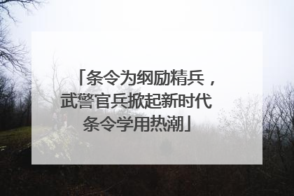 条令为纲励精兵，武警官兵掀起新时代条令学用热潮
