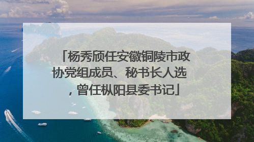 杨秀颀任安徽铜陵市政协党组成员、秘书长人选，曾任枞阳县委书记