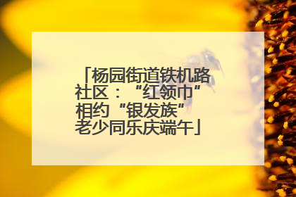 杨园街道铁机路社区：“红领巾”相约“银发族” 老少同乐庆端午