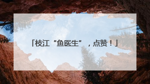 枝江“鱼医生”，点赞！
