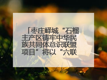 枣庄峄城“石榴主产区铸牢中华民族共同体意识联盟项目”将以“六联”活动为抓手深化品牌建设