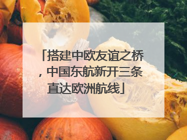 搭建中欧友谊之桥，中国东航新开三条直达欧洲航线