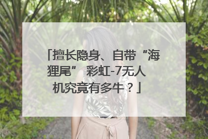擅长隐身、自带“海狸尾” 彩虹-7无人机究竟有多牛？