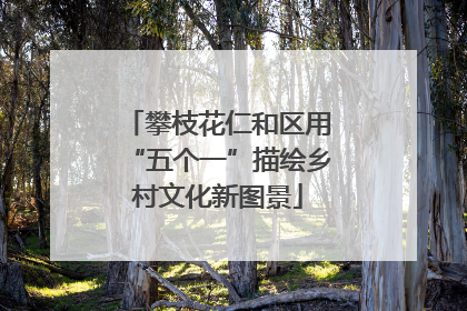 攀枝花仁和区用“五个一”描绘乡村文化新图景