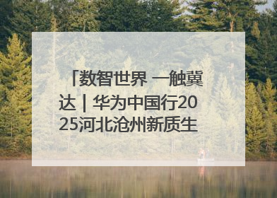 数智世界 一触冀达｜华为中国行2025河北沧州新质生产力峰会成功举办