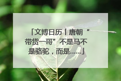 文博日历丨唐朝“带货一哥”不是马不是骆驼，而是……