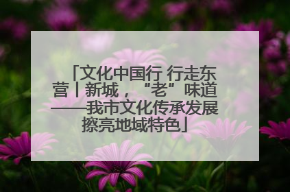 文化中国行 行走东营丨新城，“老”味道——我市文化传承发展擦亮地域特色