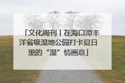 文化周刊丨在海口潭丰洋省级湿地公园打卡夏日里的“湿”情画意