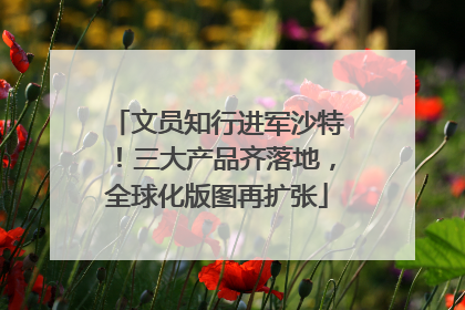 文员知行进军沙特！三大产品齐落地，全球化版图再扩张