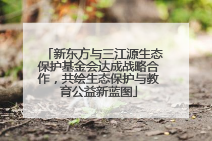 新东方与三江源生态保护基金会达成战略合作，共绘生态保护与教育公益新蓝图