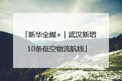 新华全媒+｜武汉新增10条低空物流航线