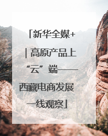 新华全媒+｜高原产品上“云”端——西藏电商发展一线观察