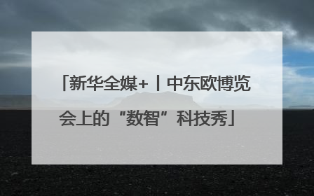 新华全媒+丨中东欧博览会上的“数智”科技秀