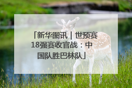 新华图讯｜世预赛18强赛收官战：中国队胜巴林队